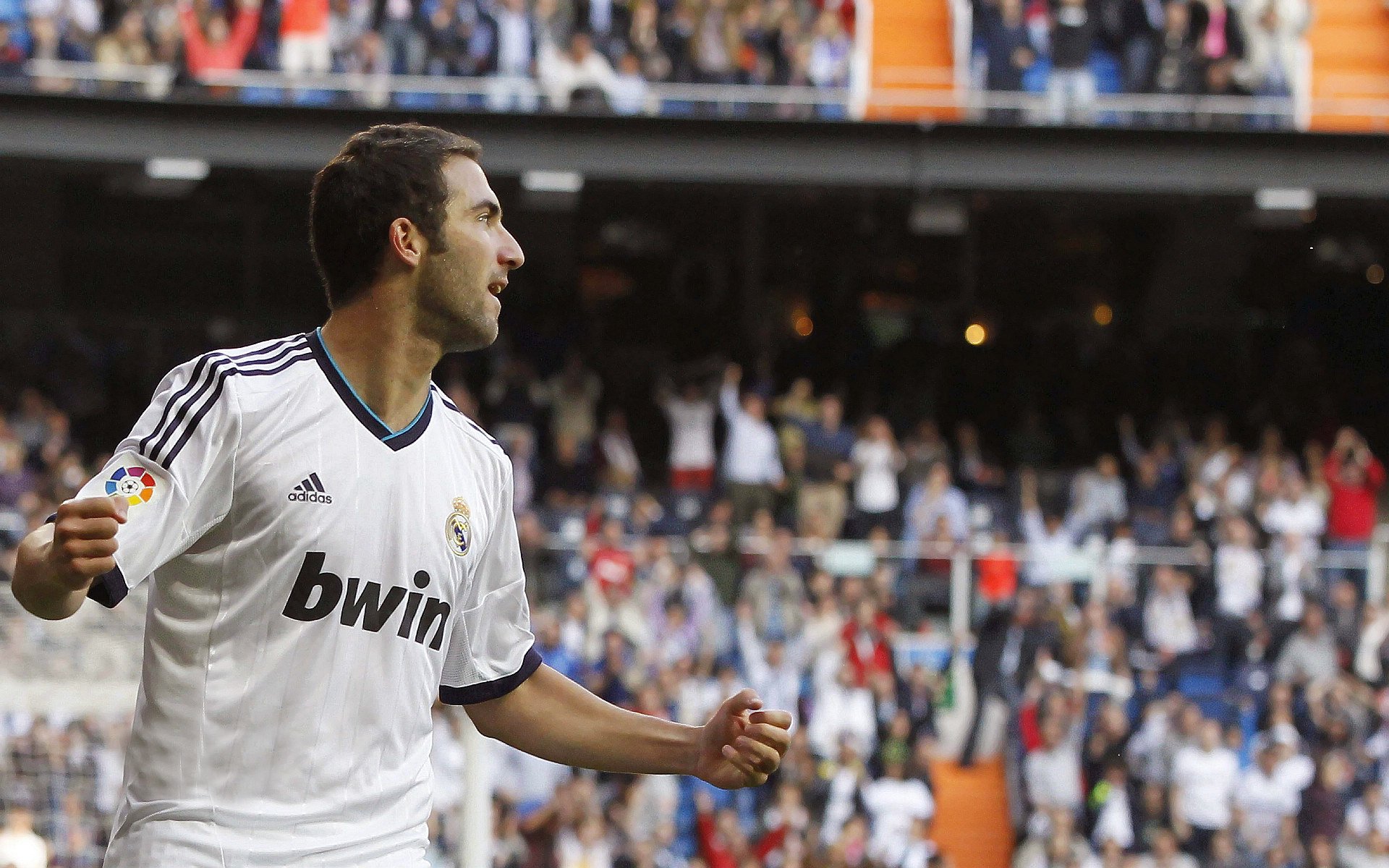 _极地冰泳:挑战极端环境的勇者_,极地冰占了97%主要在哪里