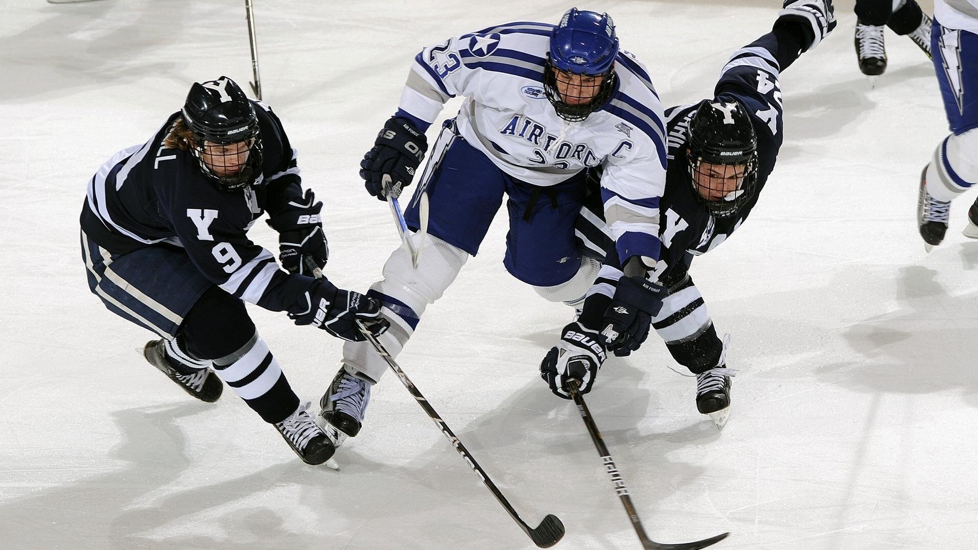 未来赛季：新赛季的期待与预测，新赛季预告